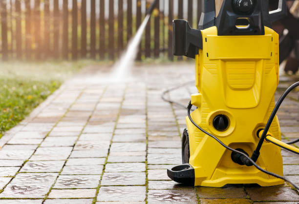 Animal Enclosure Cleaning in St Augustine South, FL